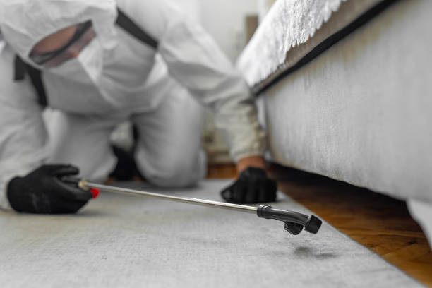 Professional Ant Control technician working in Lakeside, VA